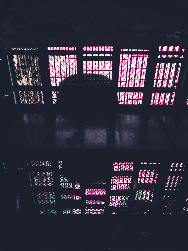 Leica M9-4.jpg