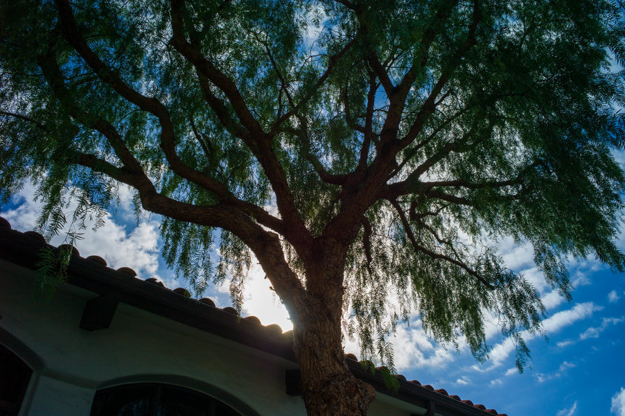Leica M9-8.jpg