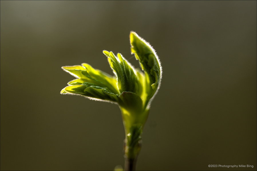 EMG18393-Wandeling-150mm-ISO200-dt_v1-2023-web.jpg
