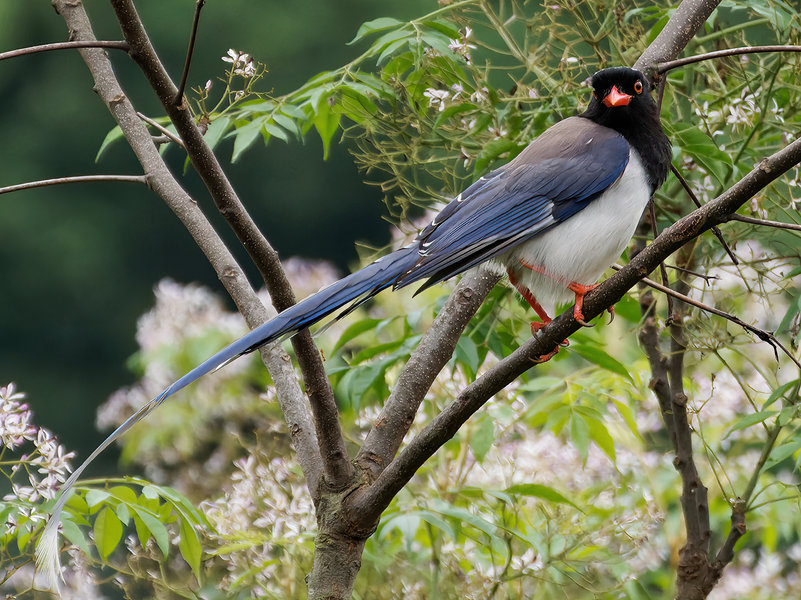 O4100400_DxO-SharpenAI-Standard (1).jpg