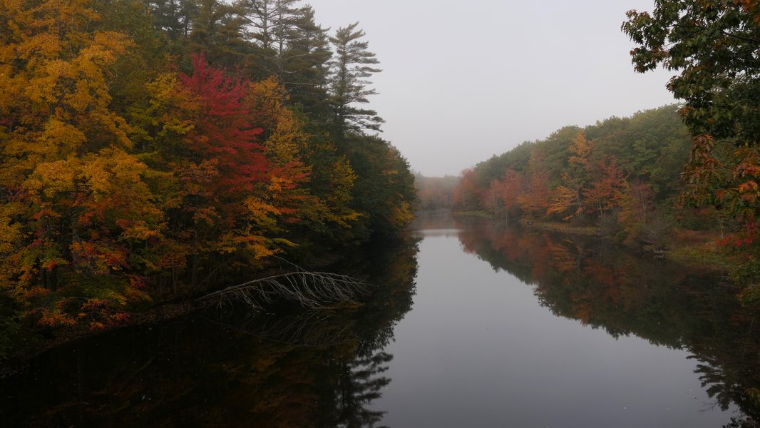 P1012634.JPG