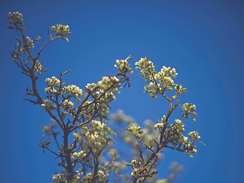 GFX100SGF80mmF1.7 R WR copy4.jpg