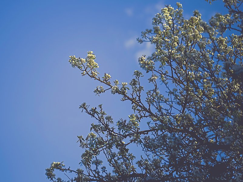 GFX100SGF80mmF1.7 R WR.jpg