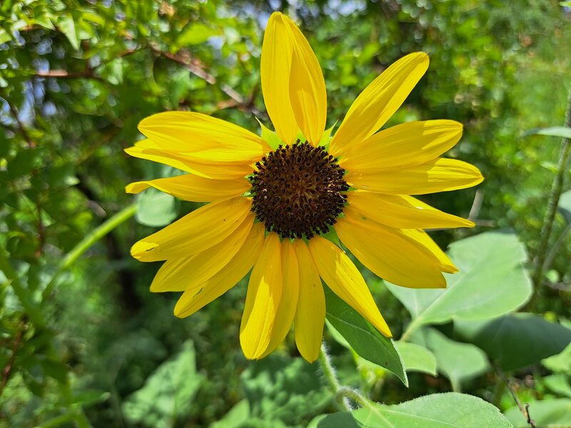 20230730_134347.jpg