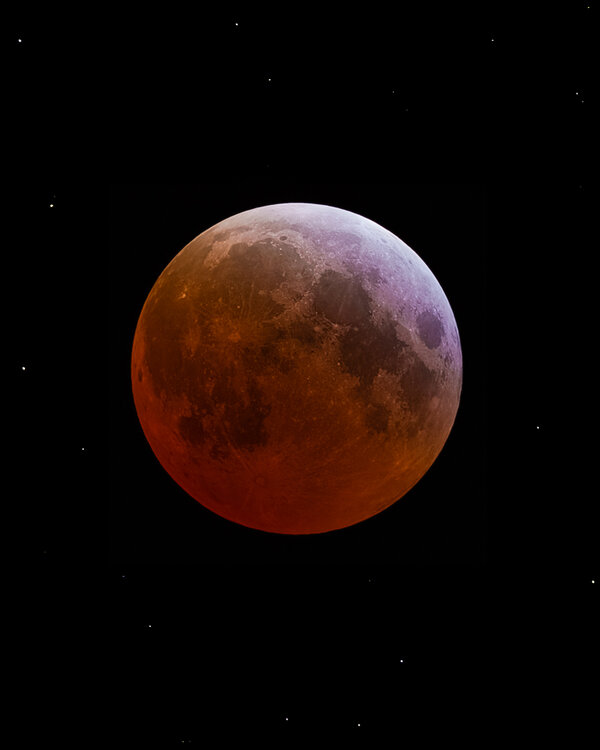 2025-03-30_04-225AM.jpg