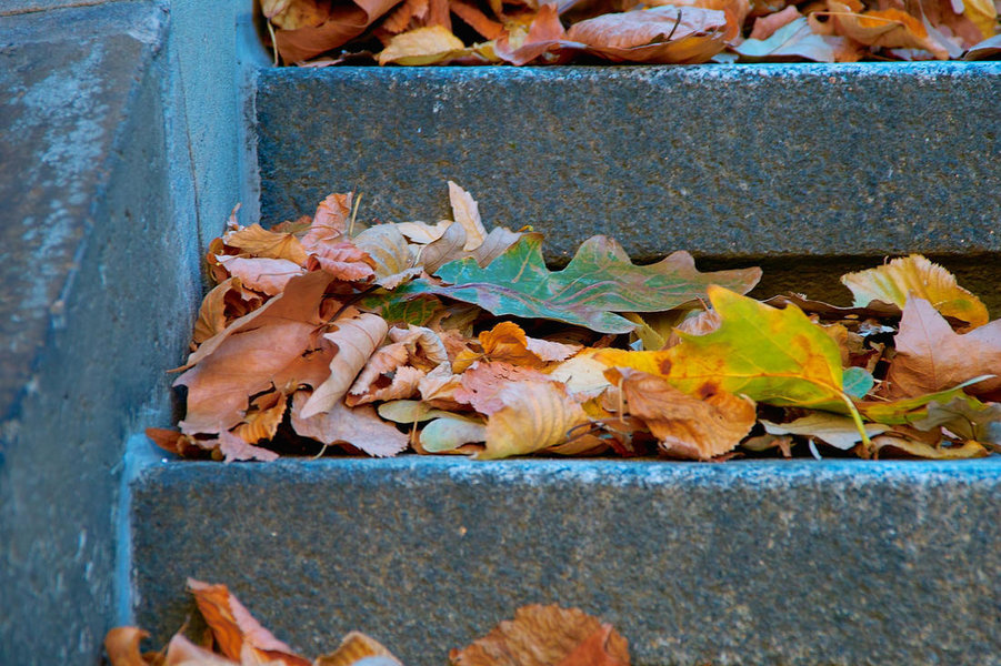 Dresden SIGMA-Treff  2008  46.jpg