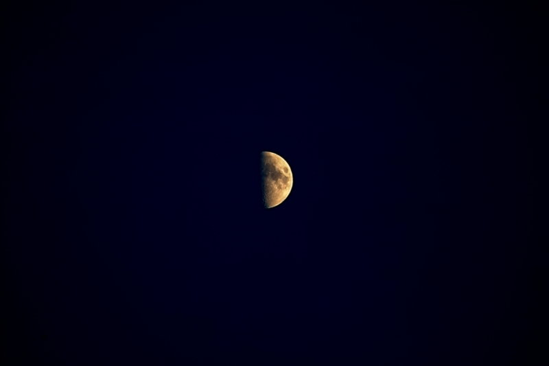 IMG02499_2_1.jpg