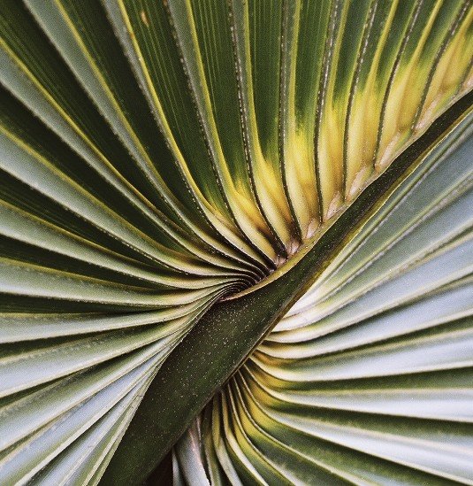 FH000012 - Version 2.jpg