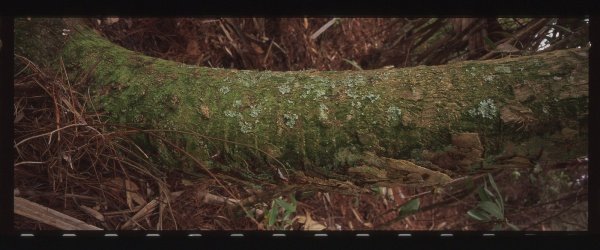 img024 - Version 2.jpg