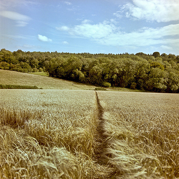 Scan-110819-0002-Edit s.jpg