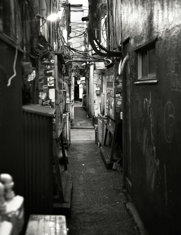 L1001503.JPG