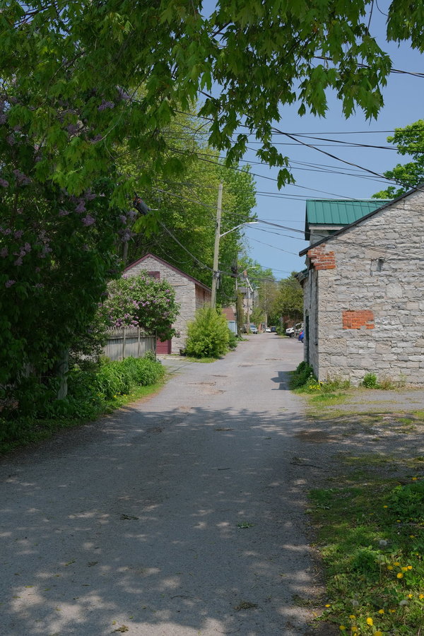 DSCV3032.JPG