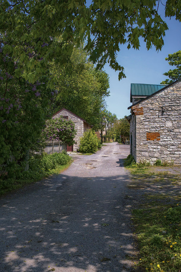 alley.jpg