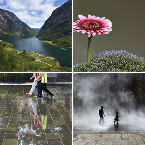 Bob's pics