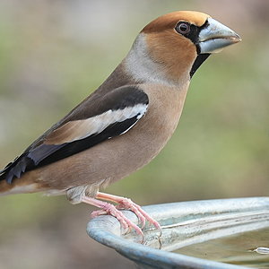 A7404902.JPG