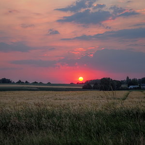 Sunset Field 2