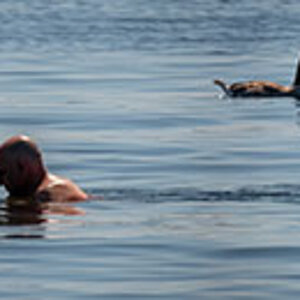 Passing swimmers.jpg