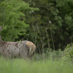 IMGP5546-1.jpg