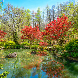gibbs-gardens-23.jpg