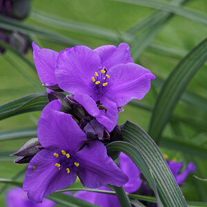 _DSC8260_DxO.jpg