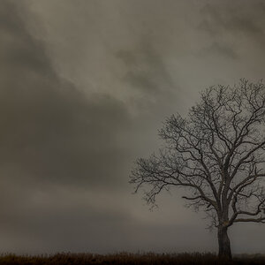 DSC03827-Edit.jpg