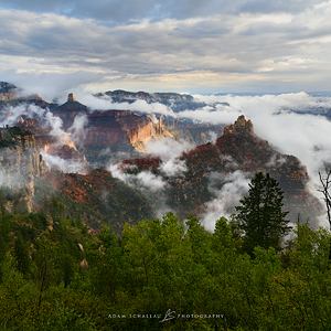 Grand-Canyon-North-Rim-Vista-Encantada-8592.png