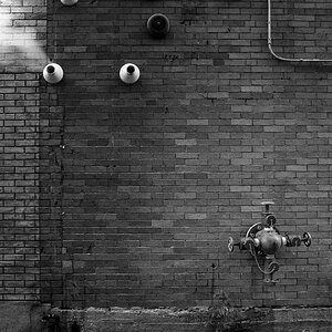 _1200072-M1_M.jpg