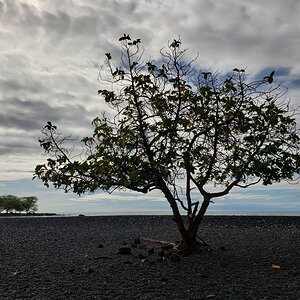20220714_164422.jpg