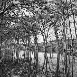 MedinaRiver_DSC3544-M1_M_7x5_20230425.jpg