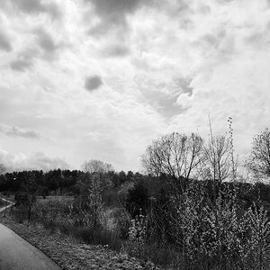 20230427_135115.jpg