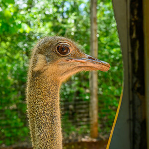 Safari Park 230430 - 42.jpg