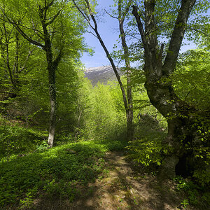 K1M0881_DxO_1920 copy.jpg