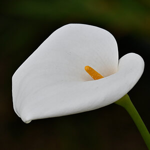 All Photos - 1 of 1 (6).jpeg