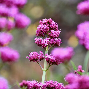 All Photos - 1 of 1 (1).jpeg