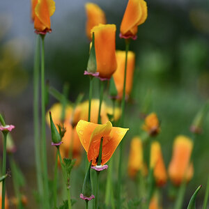 All Photos - 1 of 1 (3).jpeg