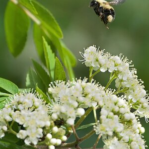 NIK_2333 final.smaller.jpg