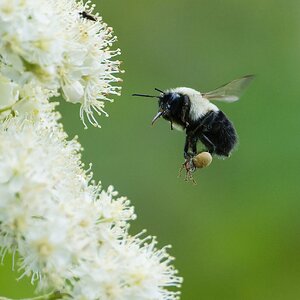 NIK_2505 final.smaller.jpg