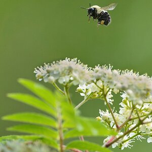 NIK_2751 finalsmaller.jpg