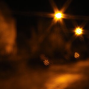 P4100827-dprf.jpg