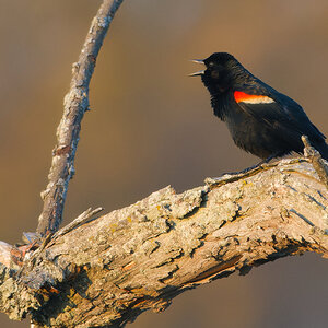 NIK_1343 final full.jpg