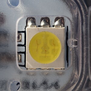 P5191548-dprf.jpg