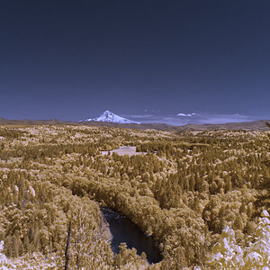 54 - cropped.jpg