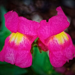 DSC_4565_DxO_DxO.jpg
