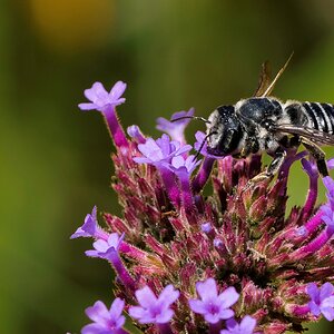 _DSC3244-1-2.jpg