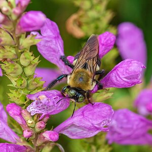 DSC_8081_DxO.jpg