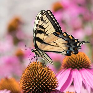 _DSC2517-Edit-2-1.jpg