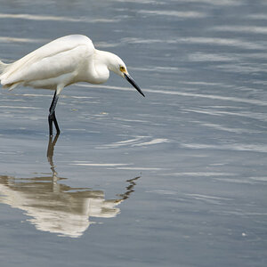 NIK_0700 final cropped.jpg