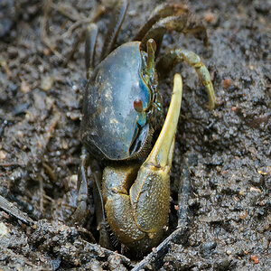 NIK_9831 final large.jpg