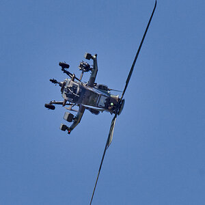 850_7042-1.jpg