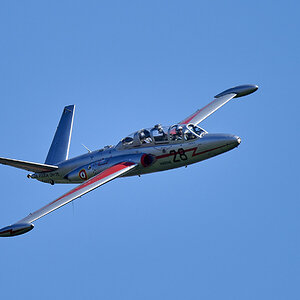 850_9955-1-1.jpg